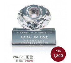 WA-G55 高爾夫球 